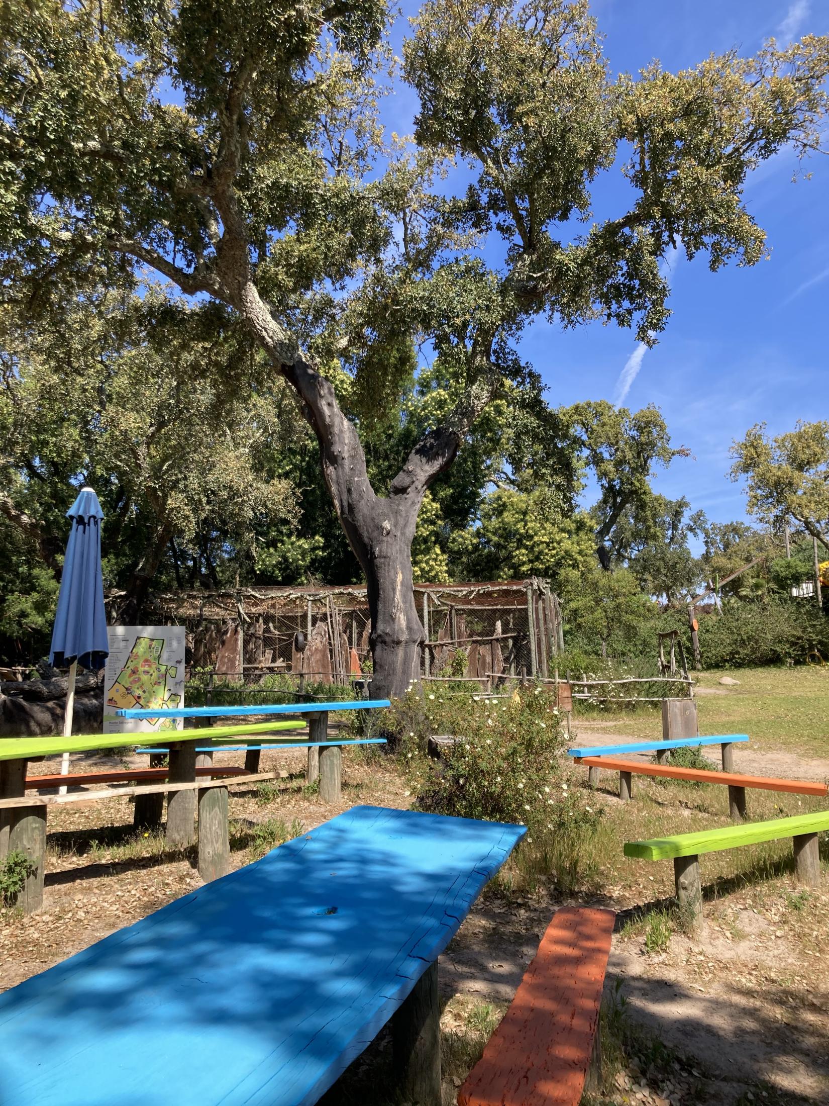 Passeio ao Monte Selvagem